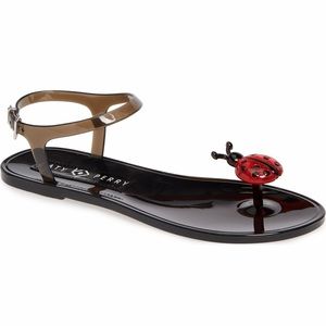 ✅NEW “Katy Perry” Geli Bumblebee Jelly Sandals